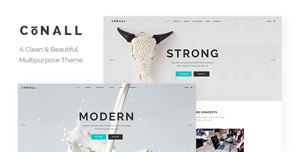 Conall – Clean Multipurpose Theme