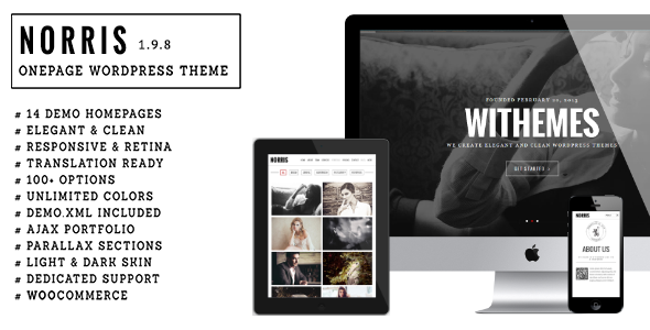 Norris – Elegant Onepage WordPress Theme
