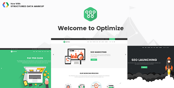 Optimize – SEO & Social Media Theme
